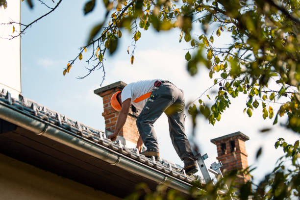 Best Gutter Installation and Roofing  in Roebling, NJ