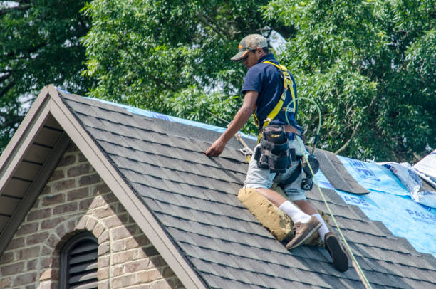 Best Roof Repair Services  in Roebling, NJ